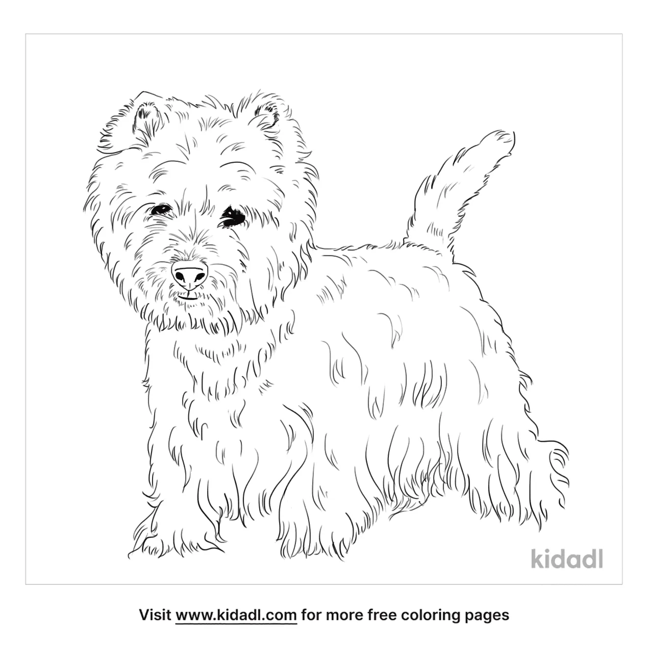 Free west highland terrier coloring page coloring page printables