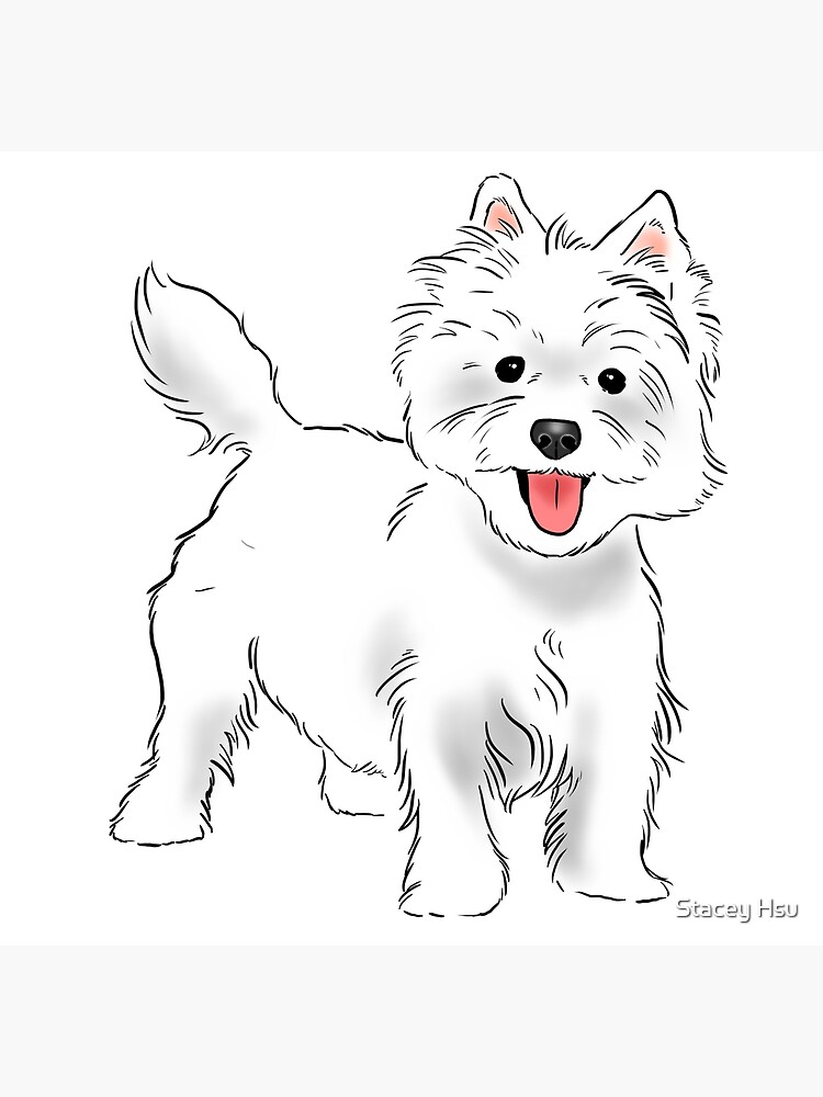 Westie west highland white terrier art print for sale by stacey hsu