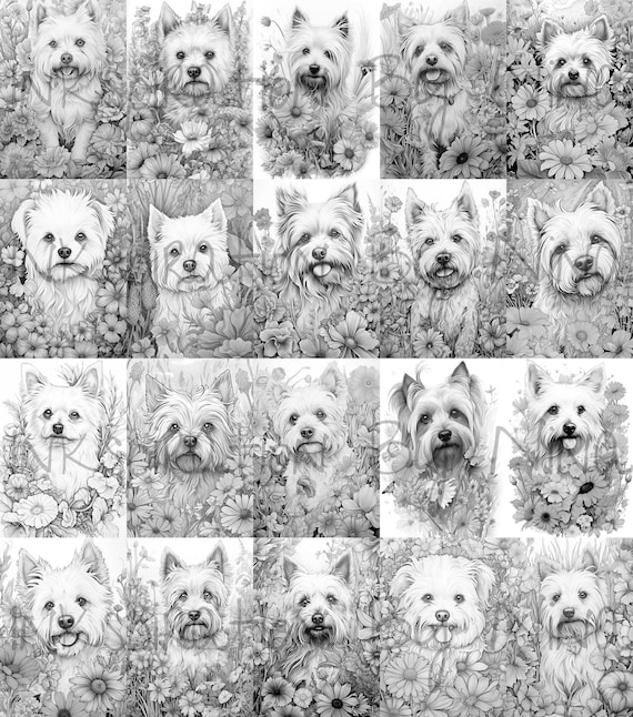 West highland white terrier westie dog coloring pages premium coloring sheets coloring book a size printable digital pdf download