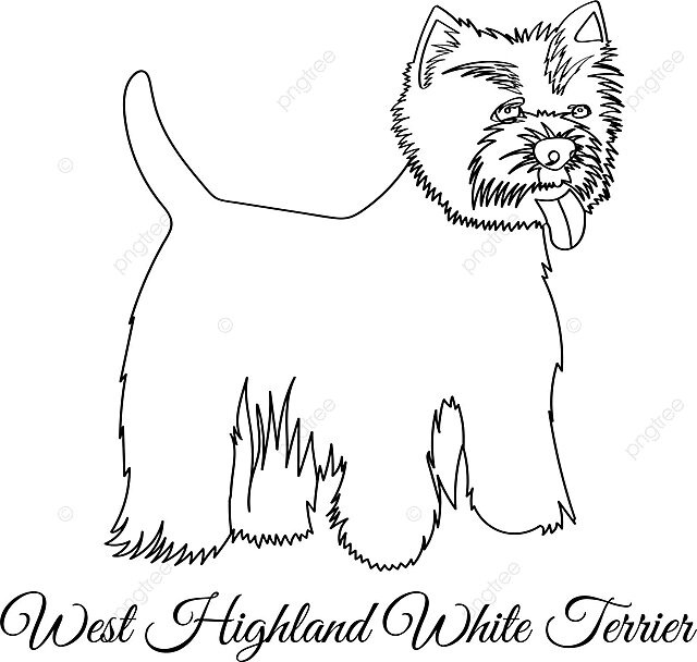 West highland white terrier dog coloring group breed mammal vector dog drawing ring drawing land drawing png and vector with transparent background for free download