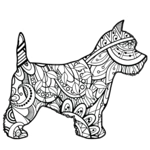 Westies a west highland terrier dog colouring book a dog colouring book for adults teens street th books