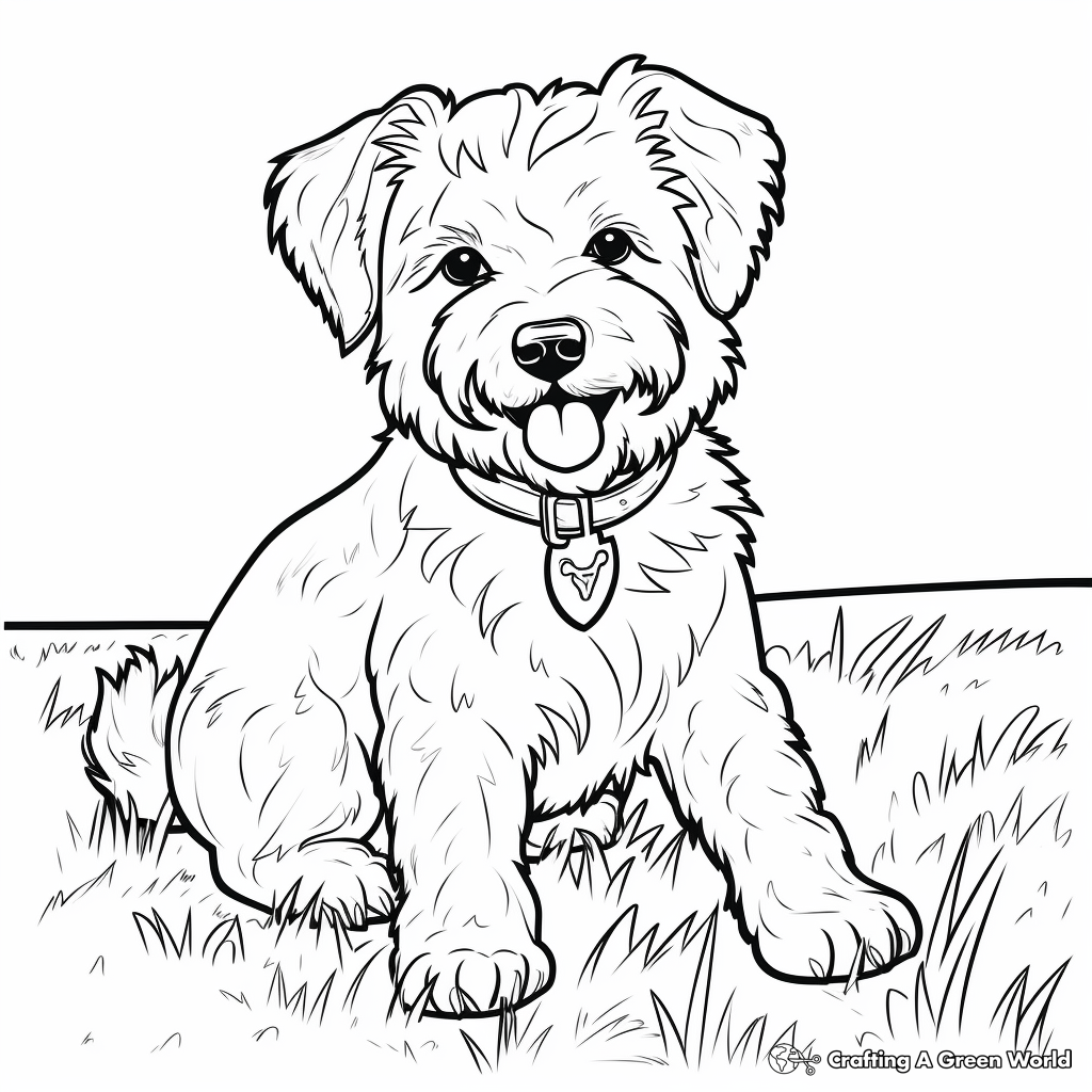 Fluffy dog coloring pages