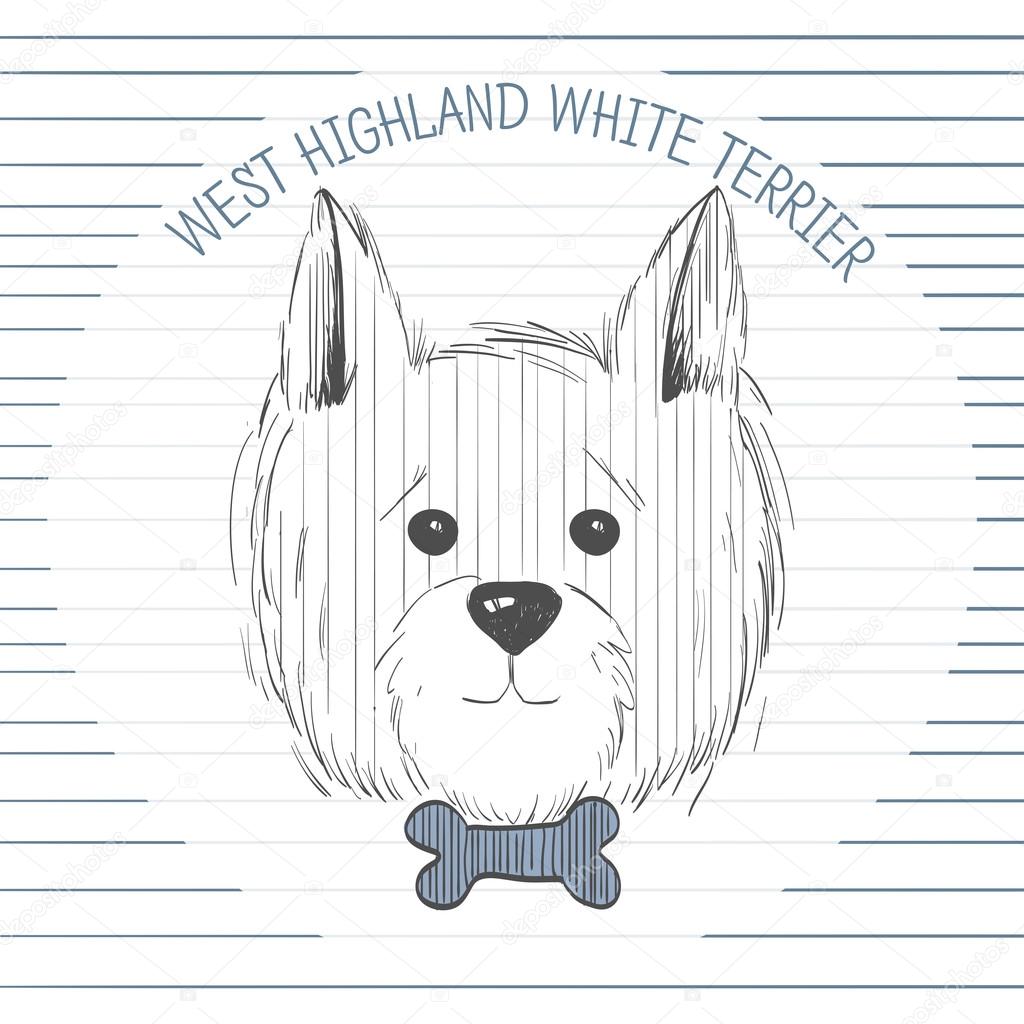 West highland white terrier scetch stock vector by alenaribinagmail