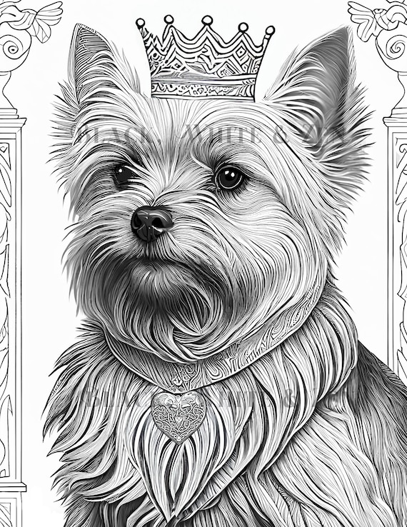 Printable dog coloring page yorkie king yorkshire terrier instant download dog lover gift adult coloring book page