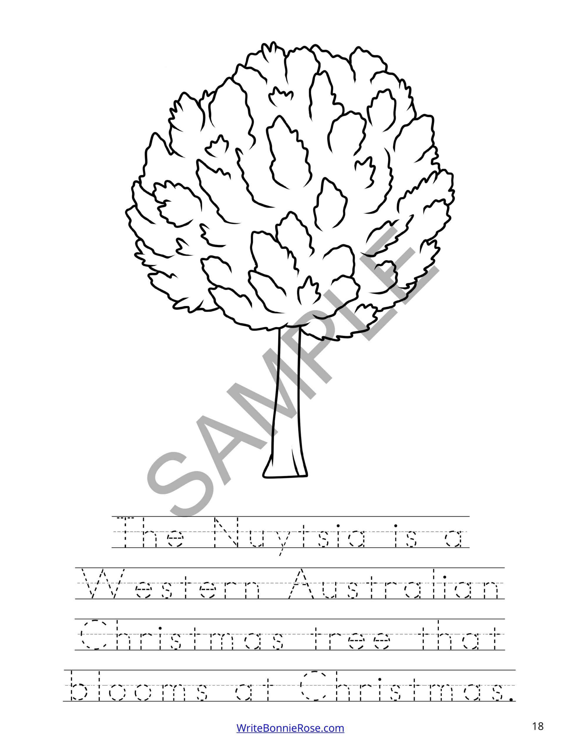 Learning about christmas plants from around the world coloring book