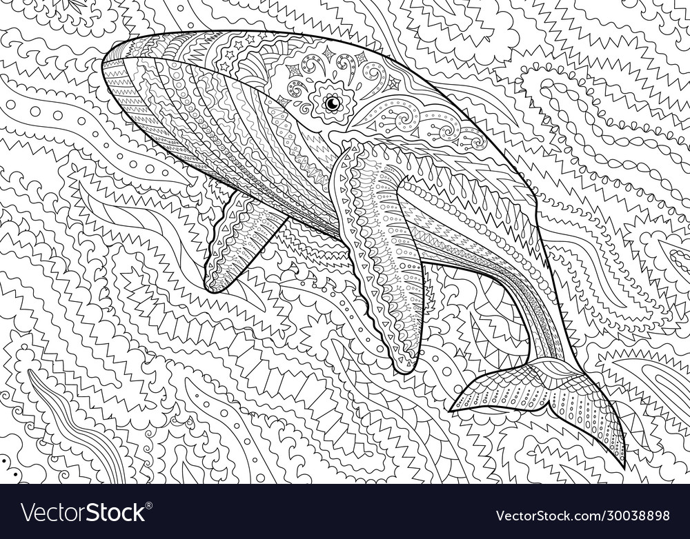 Coloring pages for adult with blue whale vector image