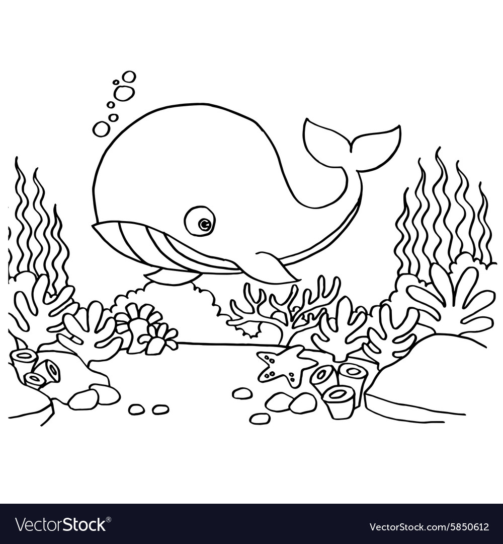 Whales coloring pages royalty free vector image