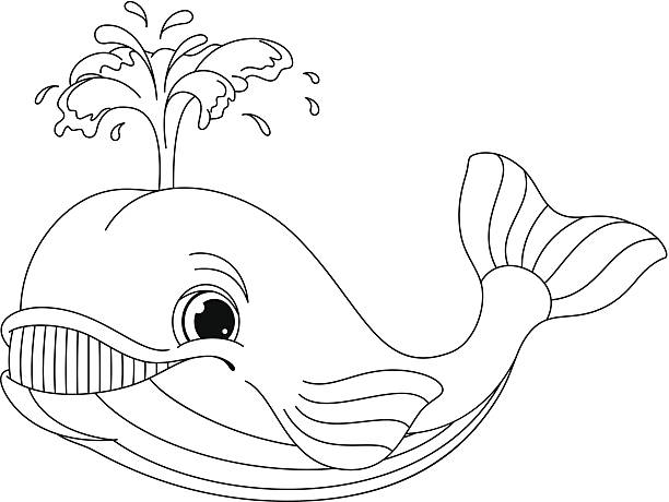Whale coloring page stock illustration