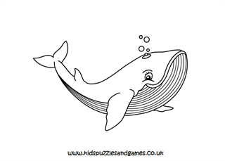 Whales