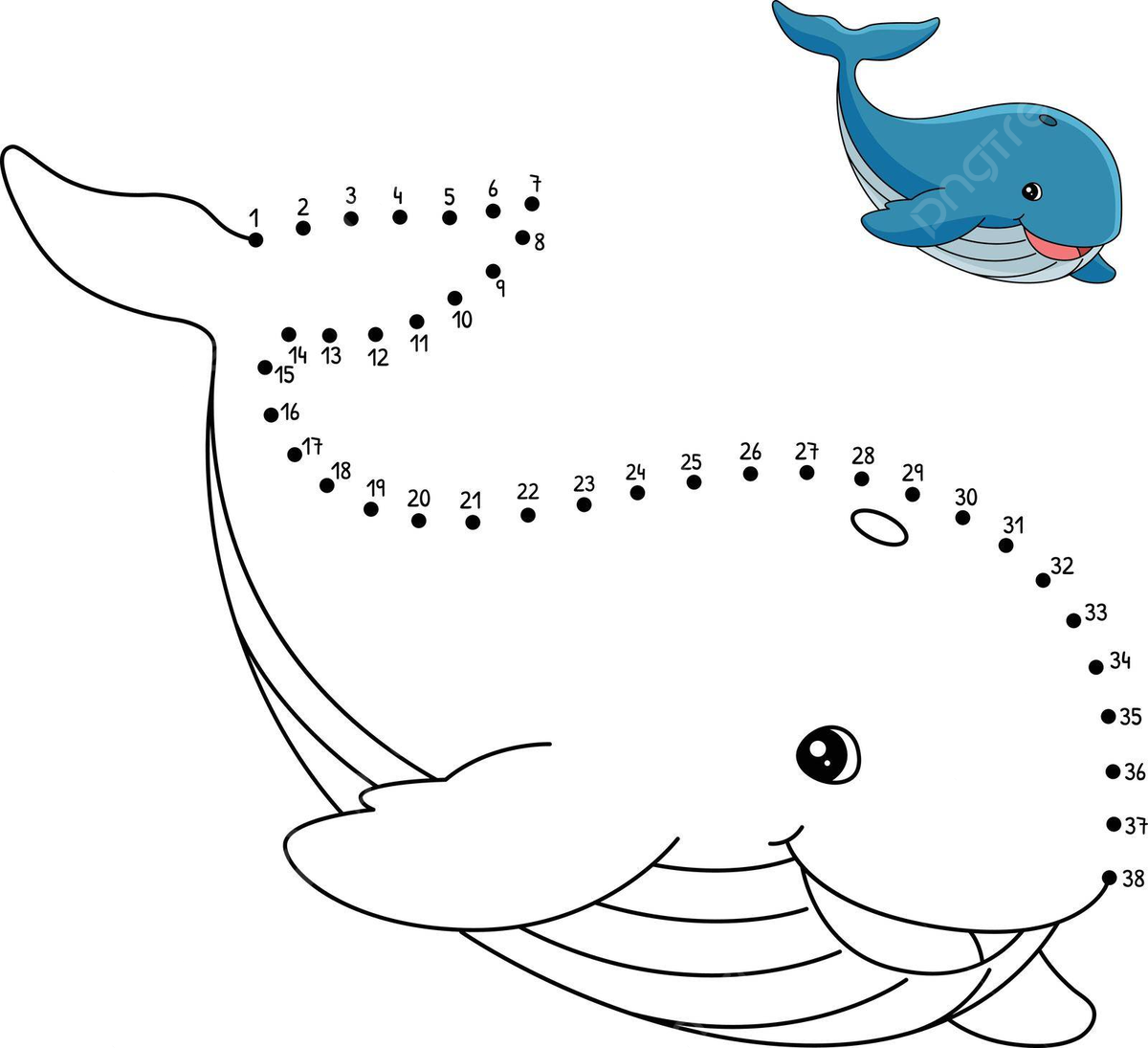 Isolated coloring page of a whale for kids with dottodot activity vector whale drawing ring drawing kid drawing png and vector with transparent background for free download