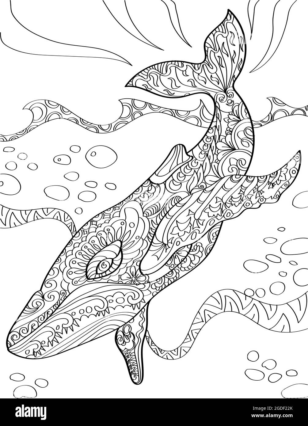 Whale activity cut out stock images pictures
