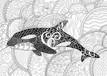 Adult coloring whale vector images over