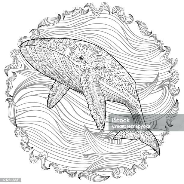 Coloring pages for adult with blue whale stock illustration