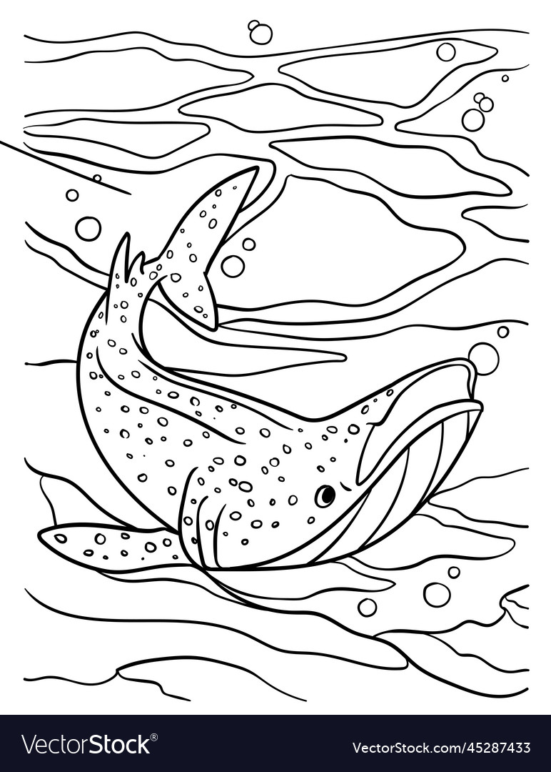 Whale shark coloring page for kids royalty free vector image