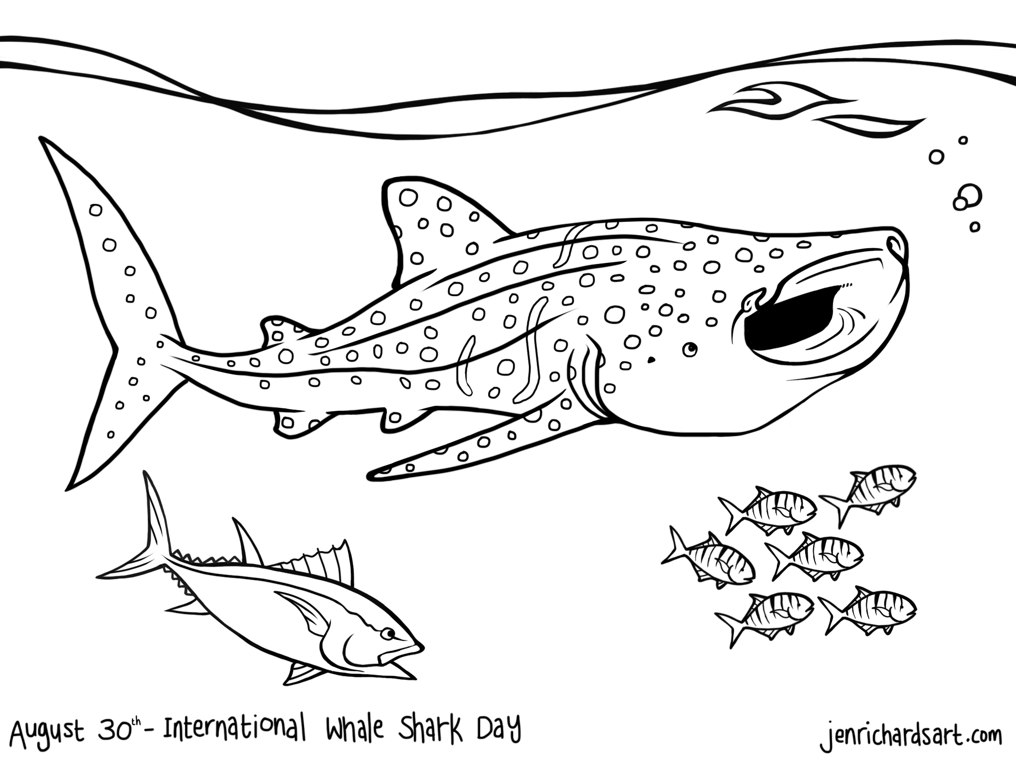 International whale shark day a gift for you jen richards