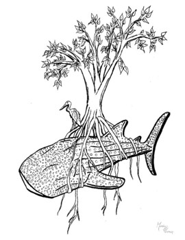 Whale shark fun facts coloring page printable ocean life fun learning pdf