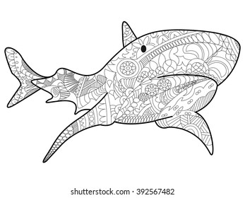 Hakuun shark sea animal coloring book adults liittyvã vektorikuva rojaltivapaa