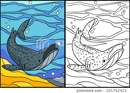 Whale shark coloring page colored illustration
