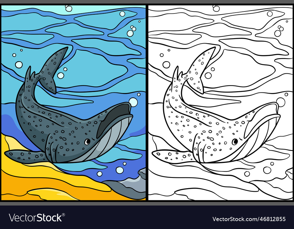 Whale shark coloring page colored royalty free vector image