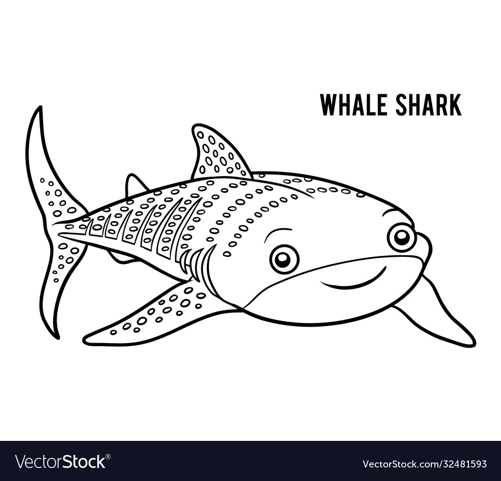 Coloring book whale shark royalty free vector image