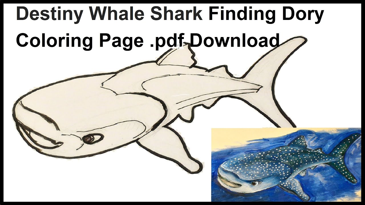 Destiny whale shark finding dory coloring page pdf download