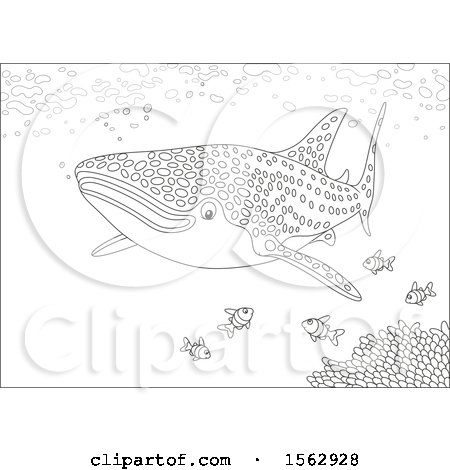 Clipart of a lineart whale shark and fish over a reef