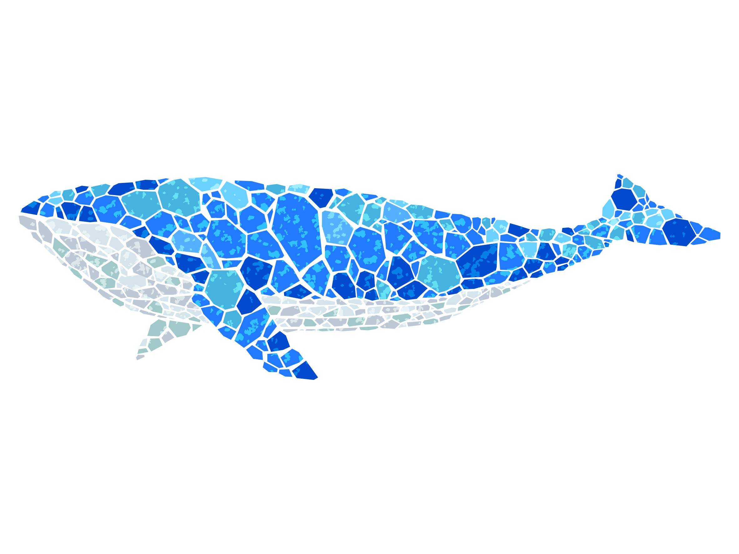 Whale stencil x inch m