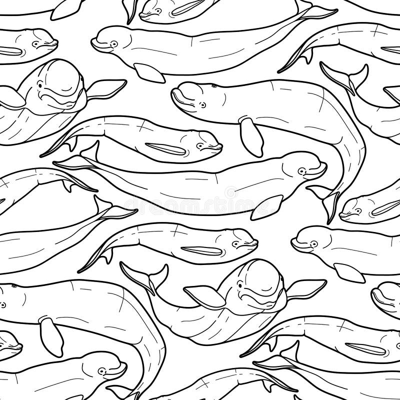 Graphic beluga whale pattern stock vector