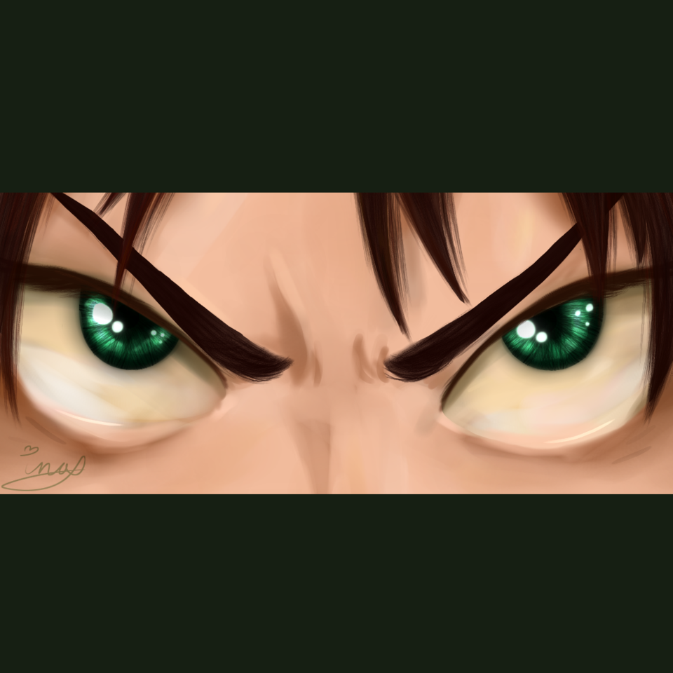 Eren jeager eyes setharra