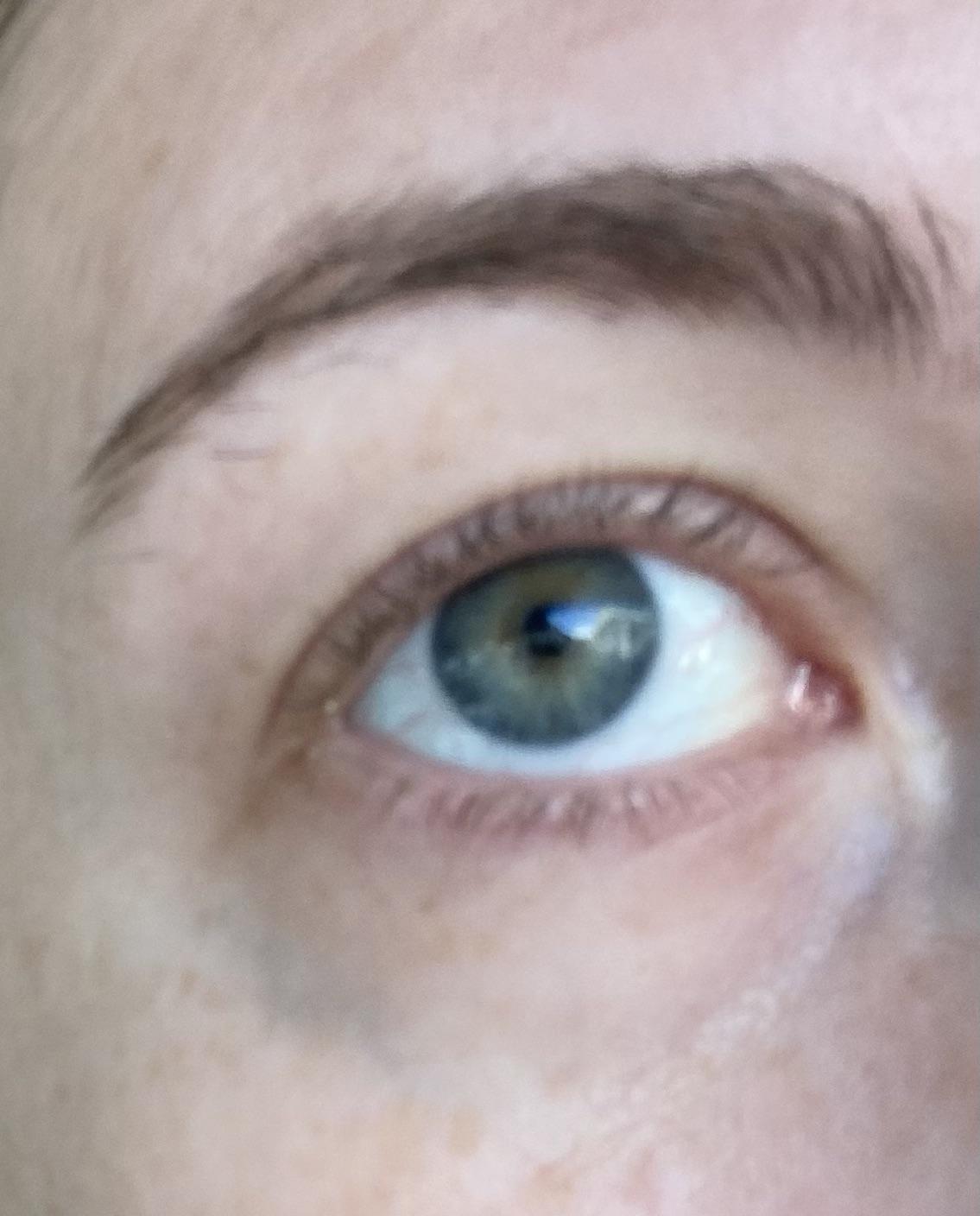 What color are erens eyes i have heard people say grey blue and green which one is the accurate one not talking about erens attack titan just the human rshingekinokyojin