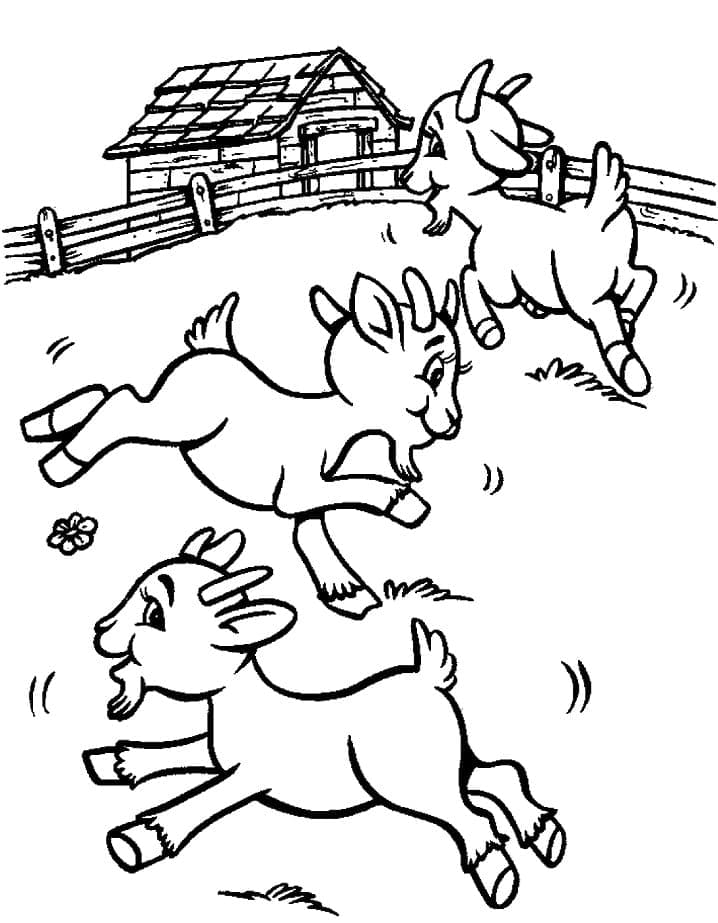 Happy goats on the farm coloring page