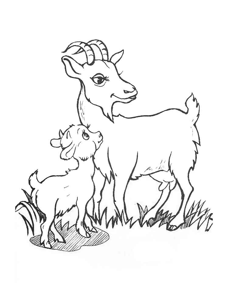 Coloring pages coloring pages animals goat