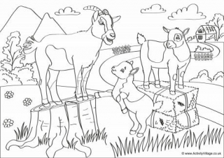 Goat louring pages