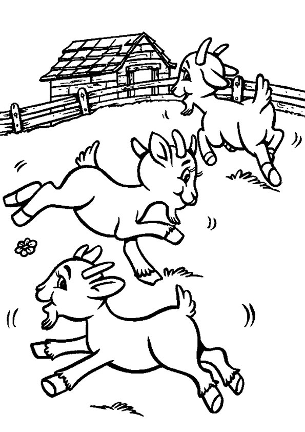Free printable cute goat coloring picture assignment sheets pictures for child