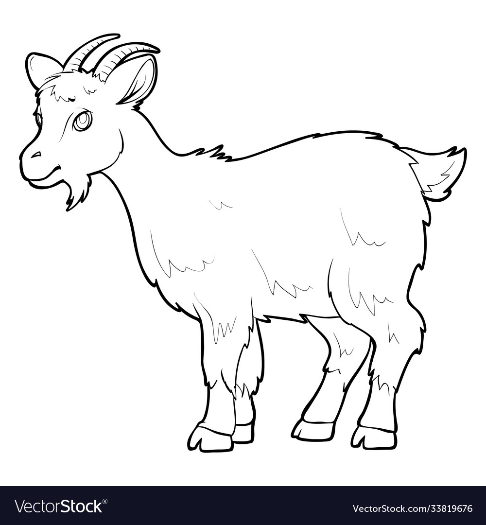 Goat sketch pet coloring book isolated object vector image