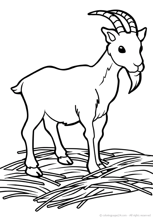 Goats coloring pages