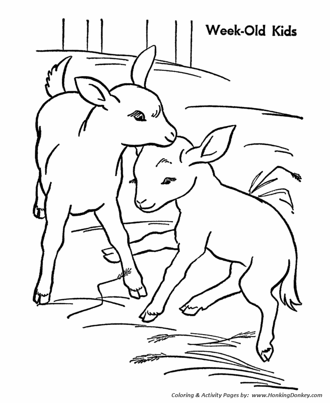 Farm animal coloring pages goat kids coloring page and kids activity sheet