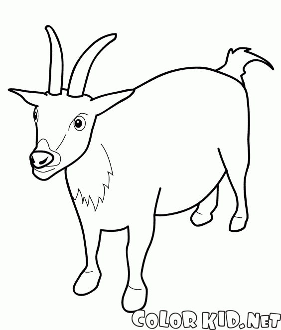 Coloring page