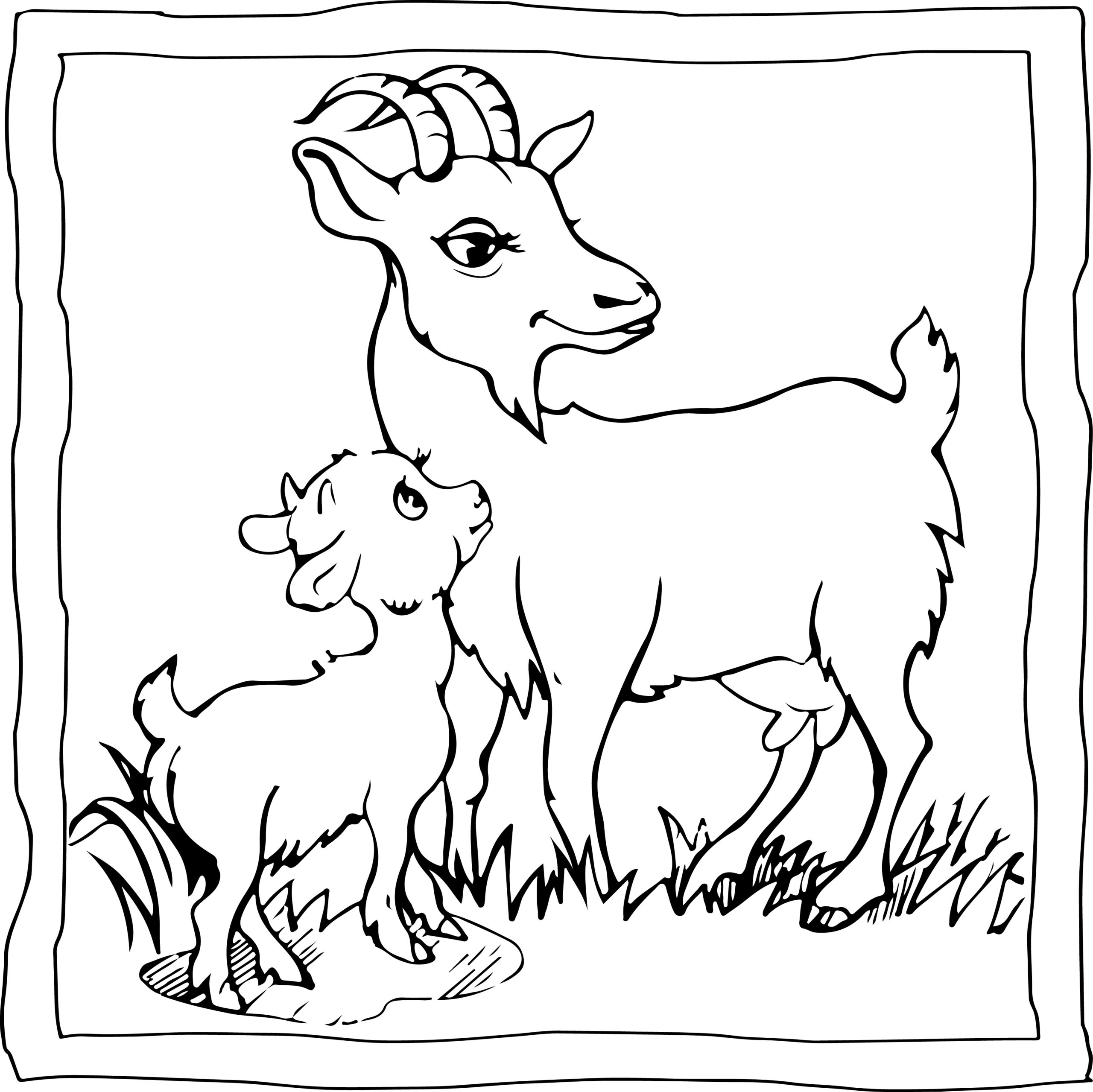 Goat coloring book easy and fun goat coloring pages for kids made by teachers