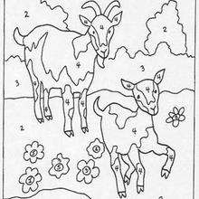 Goats coloring pages