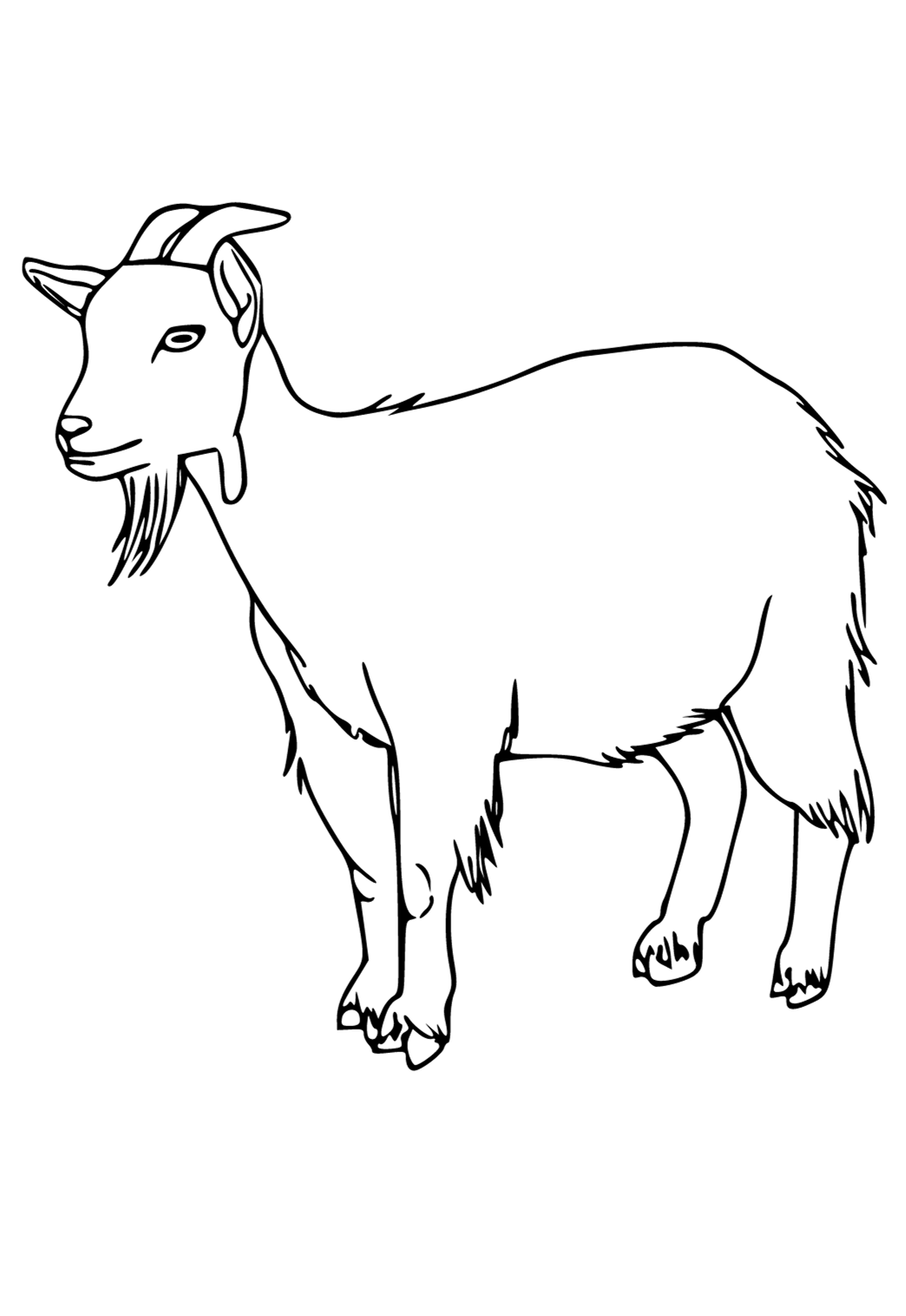Free printable goat real coloring page for adults and kids