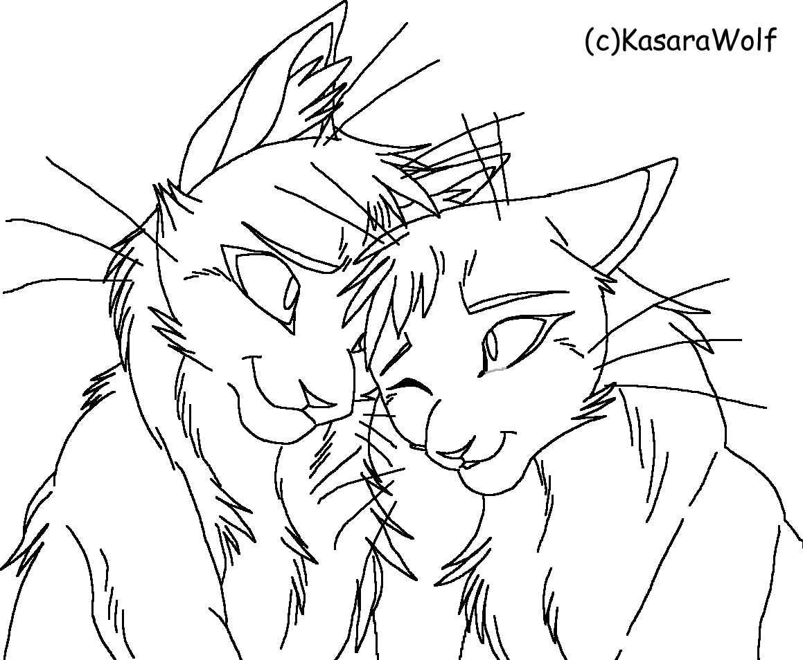 Warrior cats