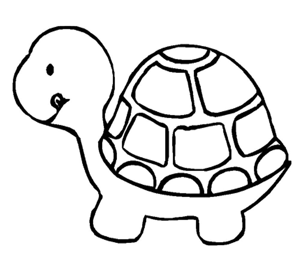 Tortoise coloring pages