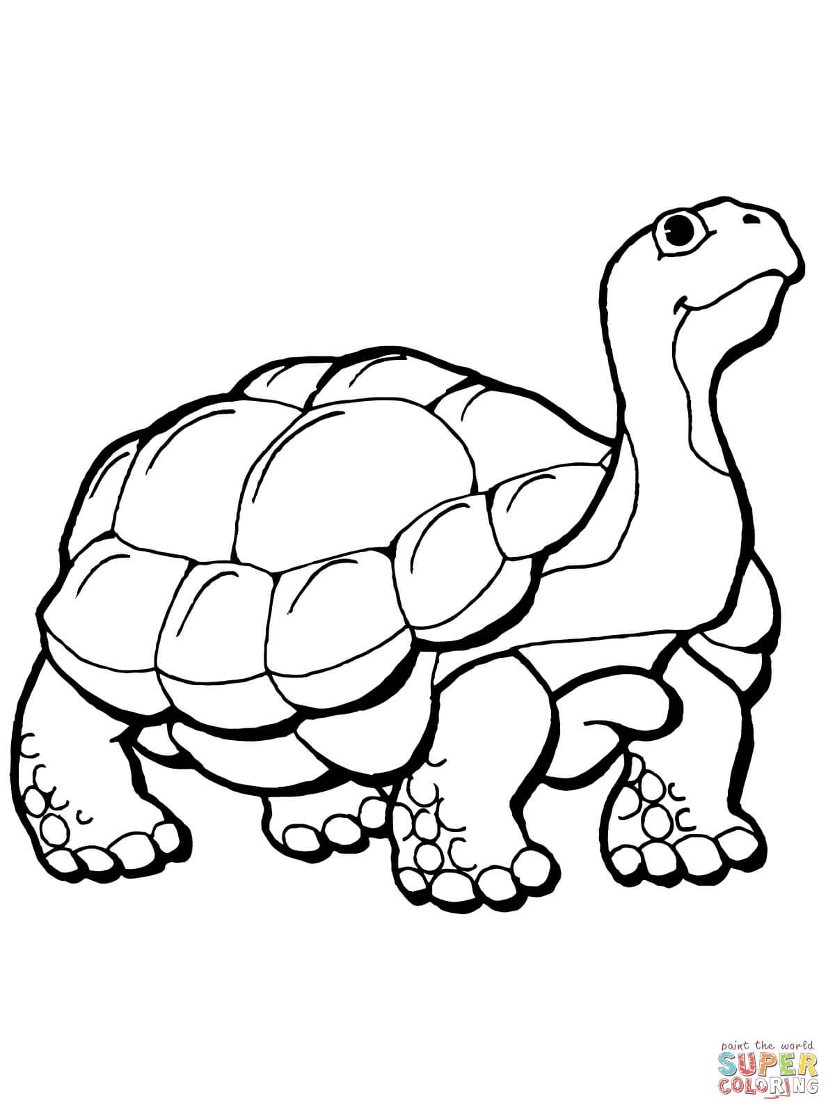 Tortoise coloring page free printable coloring pages turtle coloring pages animal coloring pages coloring pages