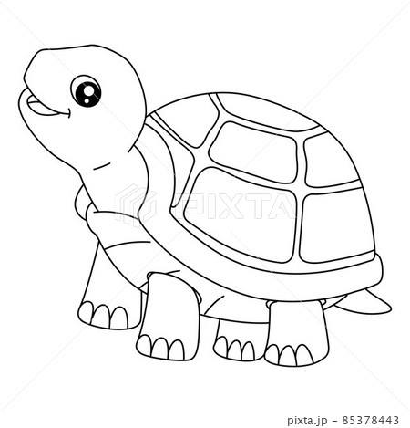 Turtle coloring page for isolated kids