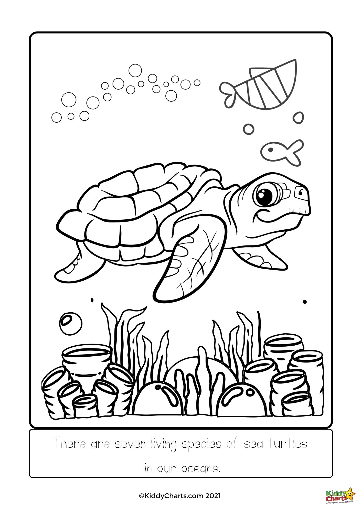 Turtle coloring pages turtle colouring and facts