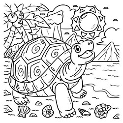 Tortoise colouring vector images over