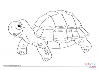 Tortoise louring pages