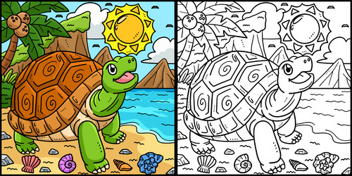 Tortoise colouring vector images over