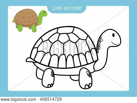 Look color coloring vector photo free trial bigstock